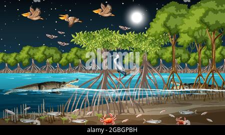 Paysage de la forêt de mangroves scène la nuit avec de nombreuses illustrations d'animaux différents Illustration de Vecteur