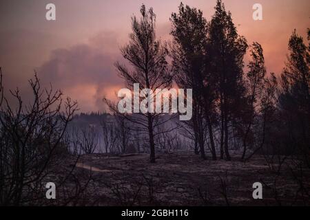 Varibobi, Grèce. 04e août 2021. La fumée s'élève d'une zone forestière brûlée après un incendie de forêt dans la région de Varibobi, dans le nord d'Athènes. Credit: Angelos Tzortzinis/DPA/Alay Live News Banque D'Images