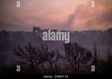 Varibobi, Grèce. 04e août 2021. La fumée s'élève d'une zone forestière brûlée après un incendie de forêt dans la région de Varibobi, dans le nord d'Athènes. Credit: Angelos Tzortzinis/DPA/Alay Live News Banque D'Images