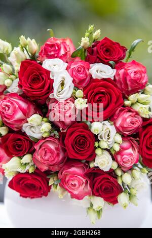 botanique, bouquet de roses à limite ronde, Eustoma grandiflorum, Rosa Hybride, POUR L'ACCUEIL/L'UTILISATION DE CARTES POSTALES DANS GERM.SPEAK.C CERTAINES RESTRICTIONS PEUVENT S'APPLIQUER Banque D'Images