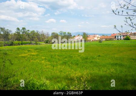 Paysage. Pinilla de Buitrago, province de Madrid, Espagne. Banque D'Images