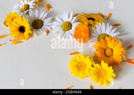 Guirlande et fleurs de calendula. Fleurs d'été. Banque D'Images