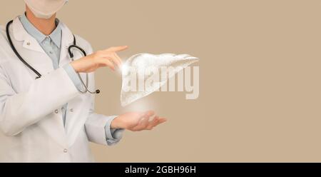 Femme médecin tenant le dessin volumétrique virtuel du foie en main. Organe humain main, espace de copie sur le côté droit, couleur beige. Hôpital de soins de santé se Banque D'Images
