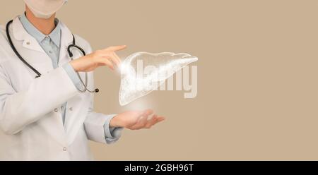 Femme médecin tenant le dessin volumétrique virtuel du foie en main. Organe humain main, espace de copie sur le côté droit, couleur beige. Hôpital de soins de santé se Banque D'Images