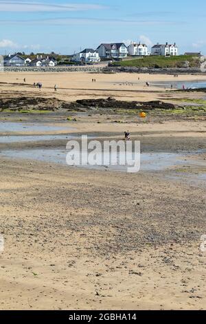 Treaddur Bay, Anglesey, pays de Galles. Paysage de bord de mer avec vue sur les appartements de sable à marée basse. Magnifique paysage marin de vacances. Prise verticale avec espace de copie. Banque D'Images