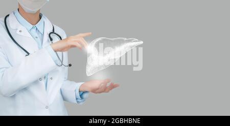 Femme médecin tenant le dessin volumétrique virtuel du foie en main. Organe humain de main, espace de copie sur le côté droit, couleurs de photo brutes. Soins palliatifs Banque D'Images