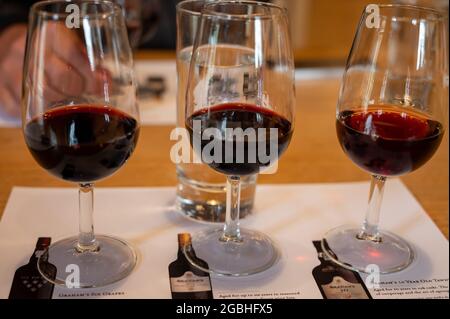 Dégustation professionnelle de différents desserts fortifiés rubis, vins de port tawny en verres dans les caves à vin de Porto, Portugal, gros plan Banque D'Images