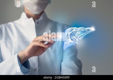 Le médecin féminin touche le foie virtuel en main. Photo floue, organe humain de la main, surligné en bleu comme symbole de rétablissement. Service hospitalier de soins de santé Banque D'Images