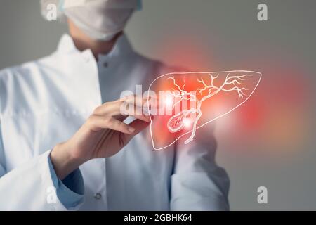 Le médecin féminin touche la vessie de Gall virtuelle dans la main. Photo floue, organe humain de la main, surligné en rouge comme symbole de la maladie. Hôpital de soins de santé Banque D'Images