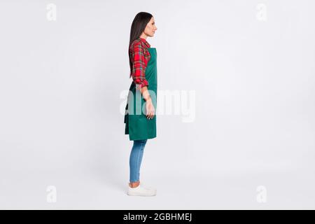 Pleine taille profil photo de côté de la jeune femme porter tablier plaid chemise Manager boutique isolée sur fond gris couleur Banque D'Images