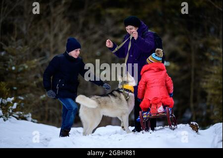 Grand-mère avec petits-enfants et chien marchant dans la forêt d'hiver, amusement d'hiver.New Banque D'Images