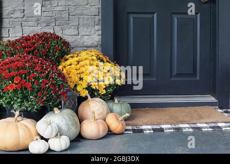 Citrouilles blanches, orange et grises avec des mamans colorées assises près de la porte d'entrée. Banque D'Images