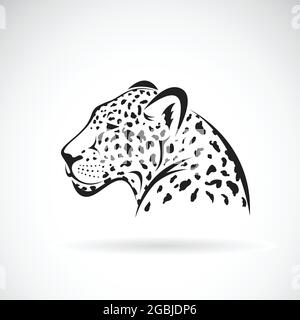 Vecteur d'un léopard sur fond blanc. Animaux sauvages. Illustration vectorielle superposée facile à modifier. Animaux sauvages. Illustration de Vecteur