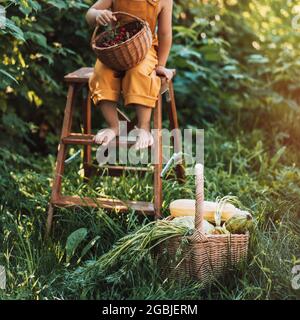 Enfant dans une combinaison jaune tenant un panier avec des cerises dans les mains tout en étant assis sur un escabeau. Banque D'Images
