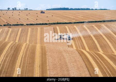 Une moissonneuse-batteuse et un tracteur moissonnant une récolte de grain dans un champ de collines dorées avec des lignes par temps ensoleillé. Banque D'Images