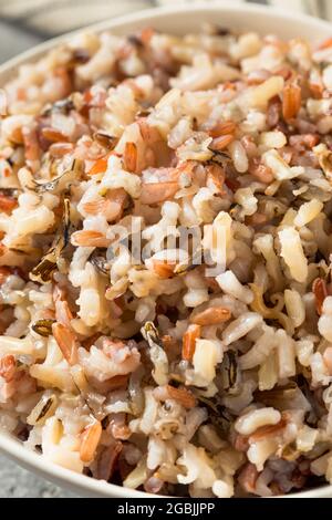 Riz sauvage cuit maison et sain prêt à manger Banque D'Images