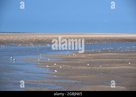 La marée est sur la rive de l'estuaire de Mersey montrant des bancs de sable exposés, des oiseaux de mer, un affluent de la rivière Alt sous le ciel bleu et la lumière du soleil d'été. Banque D'Images