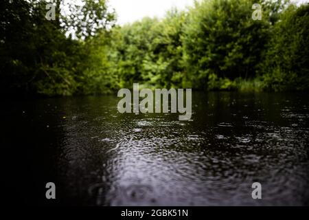 Bernau, Allemagne. 04e août 2021. Les gouttes de pluie tombent sur la surface de l'eau derrière un barrage. Le niveau des eaux souterraines dans le sud-ouest a augmenté « de façon inattendue », selon le dernier rapport sur les conditions des eaux souterraines publié par le Landesanstalt für Umwelt Baden-Württemberg à Karlsruhe. Credit: Philipp von Ditfurth/dpa/Alay Live News Banque D'Images