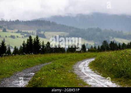 Bernau, Allemagne. 04e août 2021. Une flaque se trouve sur une route de terre tandis que la Forêt Noire est visible en arrière-plan avec des nuages de pluie qui la surpend. Le niveau des eaux souterraines dans le sud-ouest a augmenté « de façon inattendue », selon le dernier rapport sur les conditions des eaux souterraines publié par le Landesanstalt für Umwelt Baden-Württemberg à Karlsruhe. Credit: Philipp von Ditfurth/dpa/Alay Live News Banque D'Images