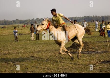 Un jockey qui se dirige vers la ligne d'arrivée. La course hippique ou «Ghora Dabor», est un événement sportif traditionnel qui se tient sur route de boue ou de champ ouvert, juste après la récolte en hiver. Tularampur, Jessore, Bangladesh. 20 janvier 2008. Banque D'Images