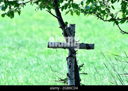 Vienne, Autriche. Croix de bois de bouleau au cimetière central de Vienne Banque D'Images