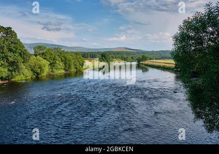 La rivière Spey à Cromdale, près de Grantown-on-Spey, Speyside, Écosse Banque D'Images