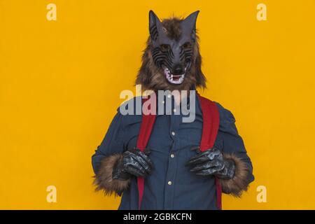 Sur fond jaune, il y a un loup-garou habillé d'une chemise bleue portant un sac à dos bleu et le tenant par les sangles. Banque D'Images