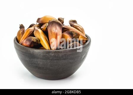 graines de pinaceae ou d'araucariaceae, utilisées en cuisine, fruits d'hiver typiques sur fond blanc isolé. Banque D'Images