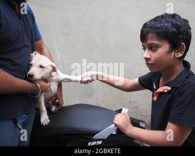 KOLKATA, INDE - 02 août 2021 : un beau chien donne une secousse à son maître. Un adorable garçon à tête noire aux cheveux bouclés sourit à son animal et tient sa patte avec Banque D'Images