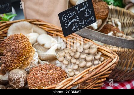 Variété de champignons japonais exposés au marché de Broadway, un marché de rue à Hackney, dans l'est de Londres Banque D'Images