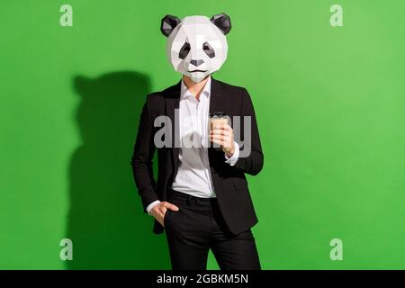 Photo de l'agent confiant gars tenir tasse de café usure panda tête noir Tuxedo isolé sur fond vert couleur Banque D'Images