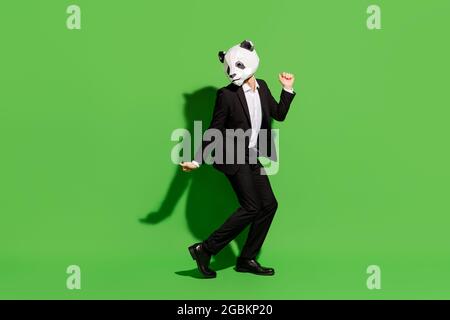 Photo de l'homme fou positif apprécier danse porter panda masque noir tux chaussures isolées sur fond vert couleur Banque D'Images