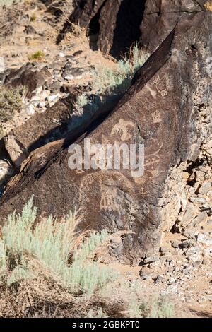 Albuquerque, Nouveau-Mexique - l'unité Rinconada Canyon du monument national de Petroglyph. Banque D'Images