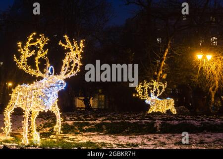 Décorations de Noël dans les jardins du parc Cismigiu situé dans le centre de Bucarest, Roumanie Banque D'Images