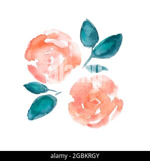 Aquarelle rose sauvage sur fond blanc. Illustration de style vintage. Fleurs roses. Banque D'Images