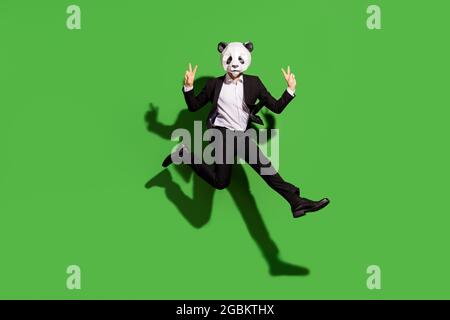 Vue sur toute la longueur de la taille du corps de l'homme de classe gars portant le masque panda saut montrant le V-signe isolé sur fond vert clair de couleur Banque D'Images