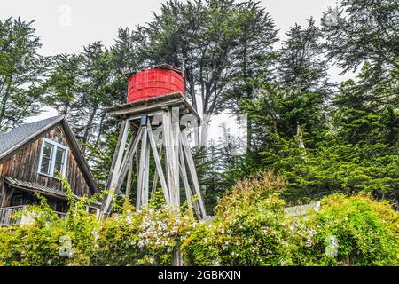 Vue sur un réservoir d'eau en bois rouge avec des roses sauvages grimpant le cadre près d'une maison aux intempéries entourée de très grands arbres le matin couvert Banque D'Images