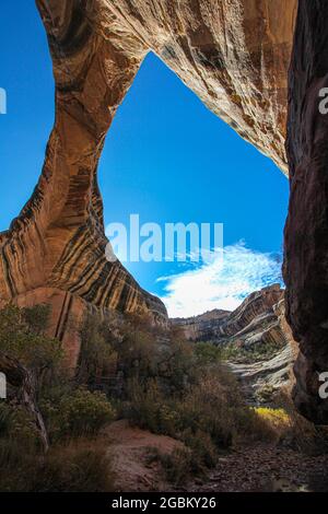 Les trois magnifiques ponts sculptés par l'eau dans le White Canyon ont été proclamés Monument National en 1908 par le Président Theodore Roosevelt. Banque D'Images