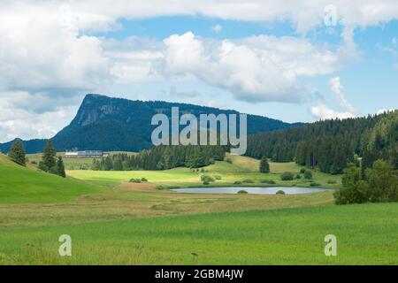 Magnifique paysage dans les montagnes du Jura en Suisse, avec prairie, petit lac et sommet Banque D'Images