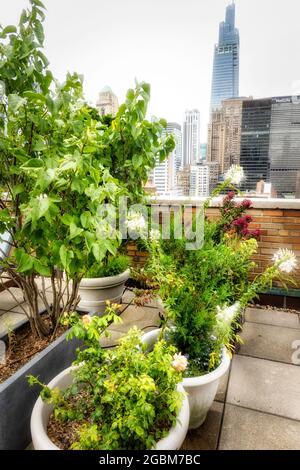 Vue panoramique de Manhattan depuis la terrasse résidentielle sur le toit, New York, États-Unis Banque D'Images