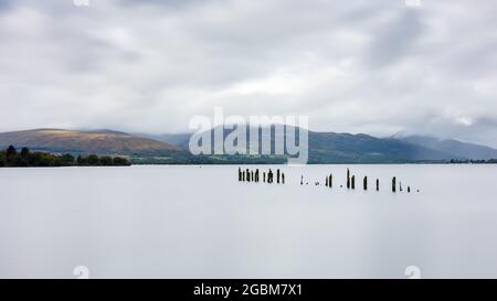 Les cormorans percher sur les postes, les restes en décomposition d'une structure dans le lac Loch Lomond à Balloch près de Glasgow, avec les contreforts de la Scottish Highlan Banque D'Images