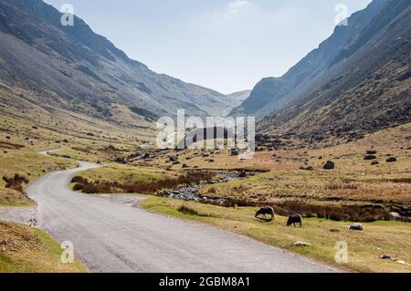 La route sinueuse de Honister Pass traverse la vallée de Gatesgarthdale sous les montagnes du Lake District d'Angleterre. Banque D'Images