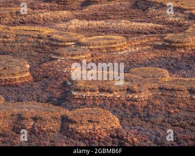 Gros plan des modèles de roche formant un paysage comme Mars Danakil Dépression endroit le plus chaud sur terre, l'Éthiopie. Banque D'Images