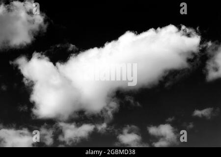 Ciel avec cumulus blancs nuages peuvent utiliser comme fond de la nature. En noir et blanc Banque D'Images