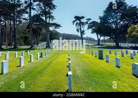 Cimetière national de San Francisco, Presidio, San Francisco, Californie, États-Unis Banque D'Images