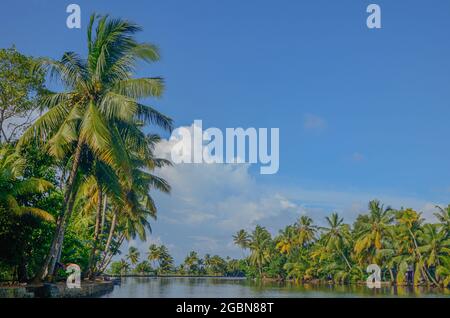 Magnifique paysage à Alleppey Backwaters, Kerala, Inde Banque D'Images