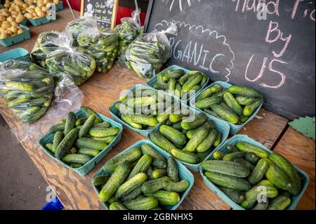 Okotoks (Alberta) - le 3 août 2021 : stands de légumes à la ferme Saskaton, au sud de Calgary (Alberta). Banque D'Images