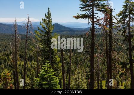 En regardant vers le lac Almanor et les montagnes de la Sierra Nevada depuis la Lassen Volcanic National Park Highway, Lassen Volcanic National Park, Californie Banque D'Images