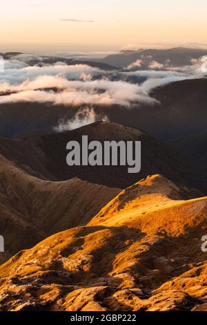 Paysage karstique sur les pentes nord du Mont Arthur. Parc national de Kahurangi, Nouvelle-Zélande Banque D'Images