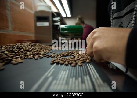 Franca, Brésil. 04e août 2021. Un spécialiste analyse les grains de café arabica vus sur le tableau de sélection d'une ferme dans la région d'Alta Mogiana, Franca, Sao Paulo, Brésil, le 4 août, 2021. Le prix du café a fortement augmenté après une longue période de sécheresse et de gel qui a frappé les plantations, ce qui a nui à la production de grains de café. (Photo par Igor do Vale/Sipa USA) crédit: SIPA USA/Alay Live News Banque D'Images